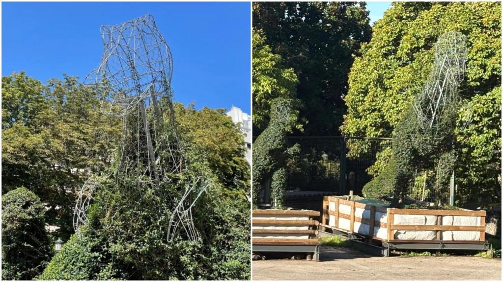 Dinoseto, antes y después.