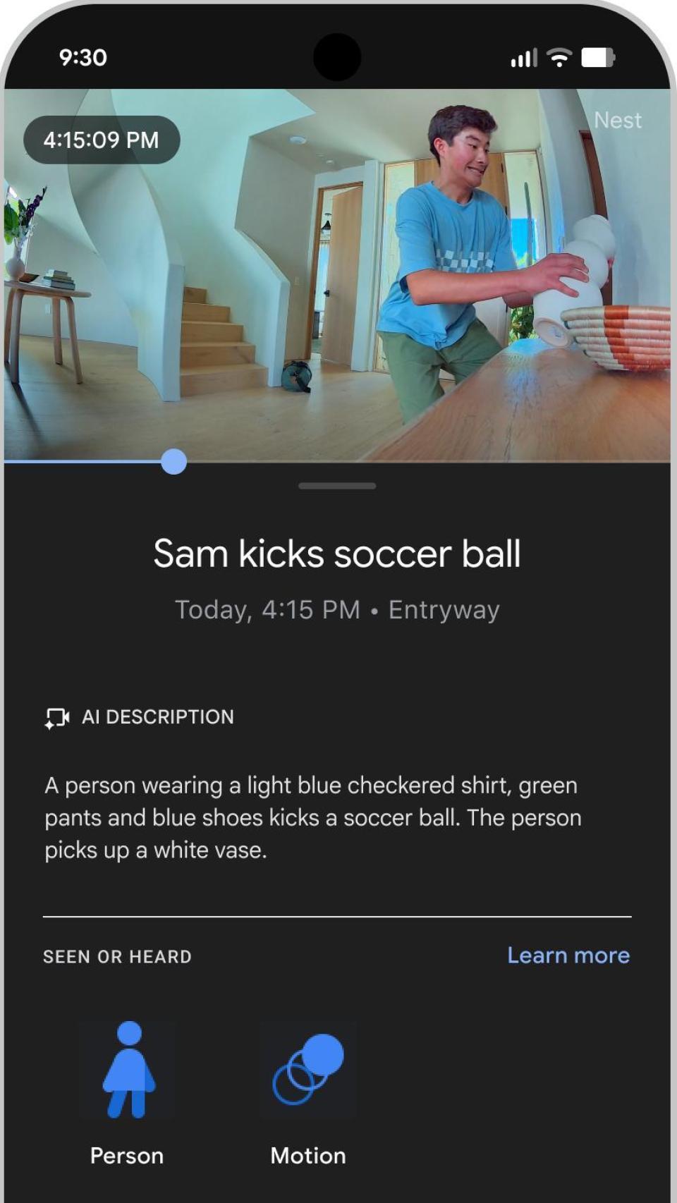 Función de descripción de Gemini