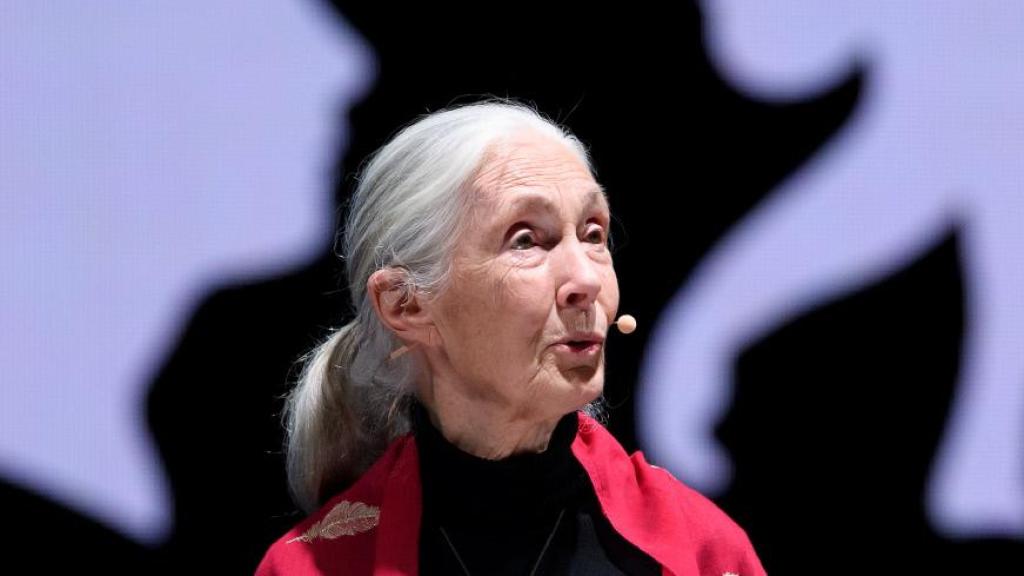 Jane Goodall dando una charla en Alemania en 2019.