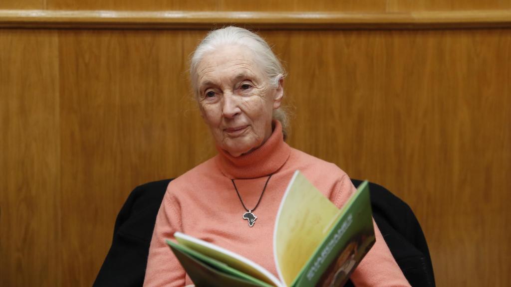 Jane Goodall durante un encuentro en Madrid.