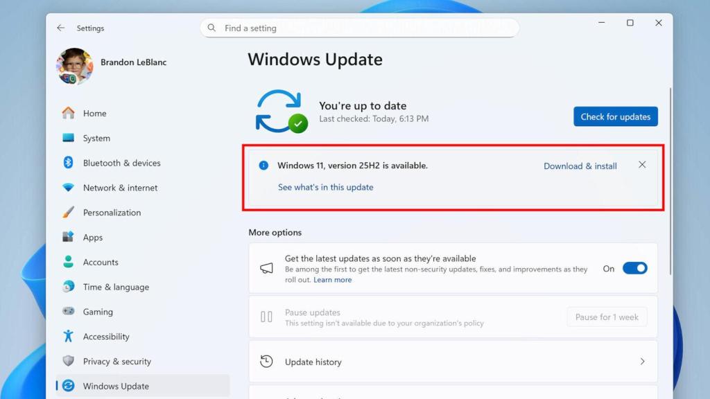 Windows 11 25H2 en Windows Update