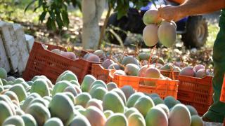 1003743922085_258643804_1706x960