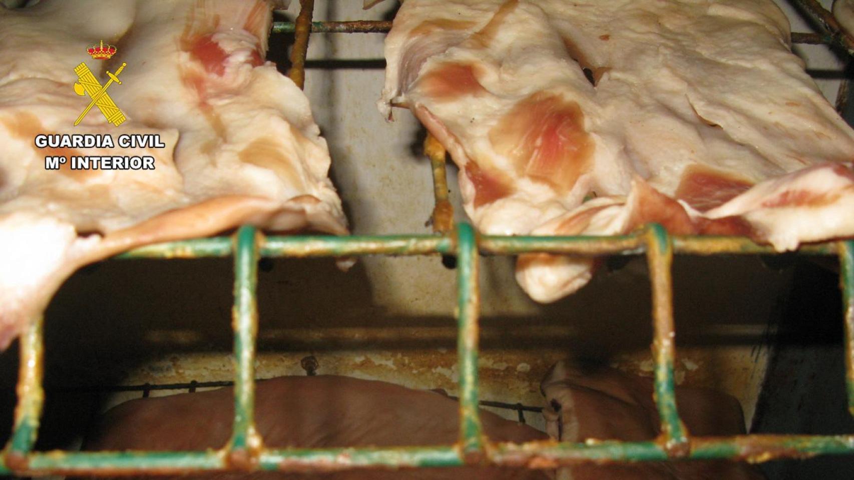 Parte de la carne utilizada, sobre una superficie oxidada.