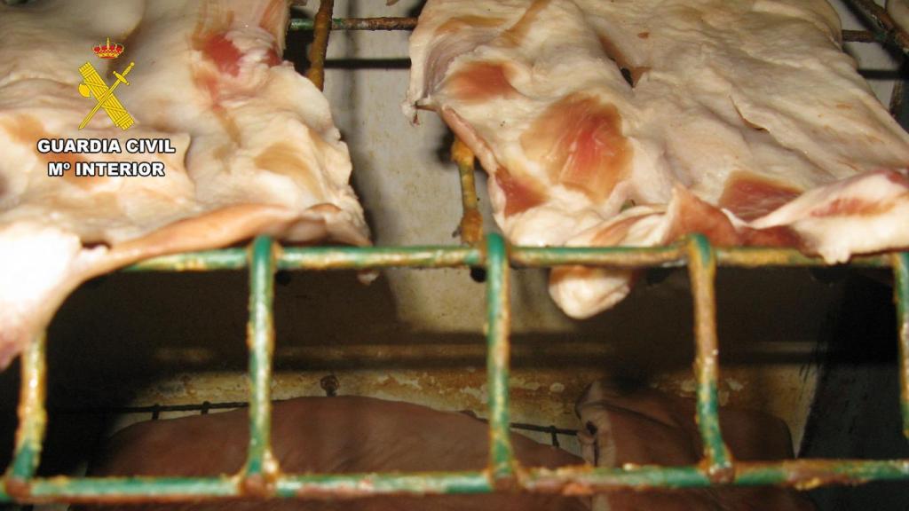 Parte de la carne utilizada, sobre una superficie oxidada.