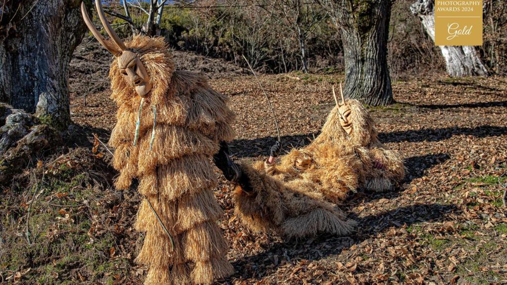 Una de las imágenes premiadas.