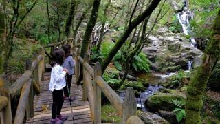 Entorno de la ruta perfecta para el otoño en la provincia de Pontevedra