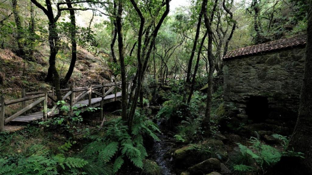Entorno de la senda fluvial entre Raxoi y Parafita
