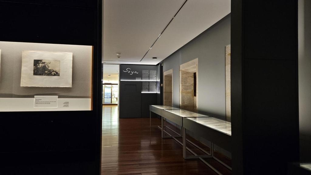 Sala Goya en el Museo de Belas Artes de A Coruña.