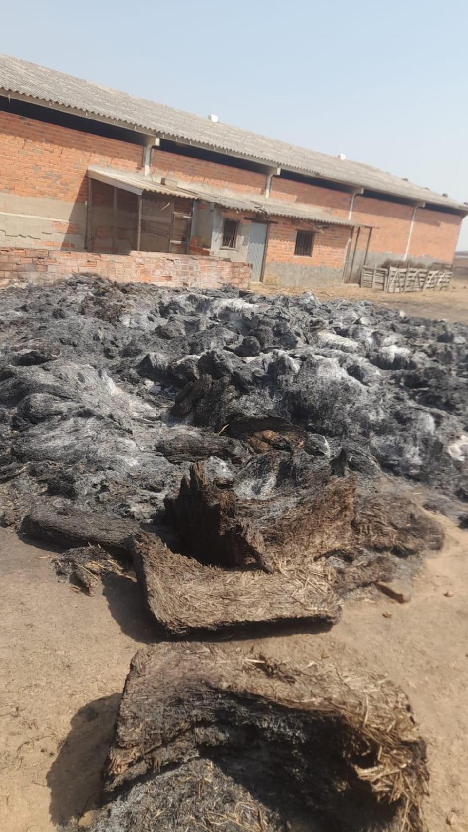Material calcinado tras los incendios en León
