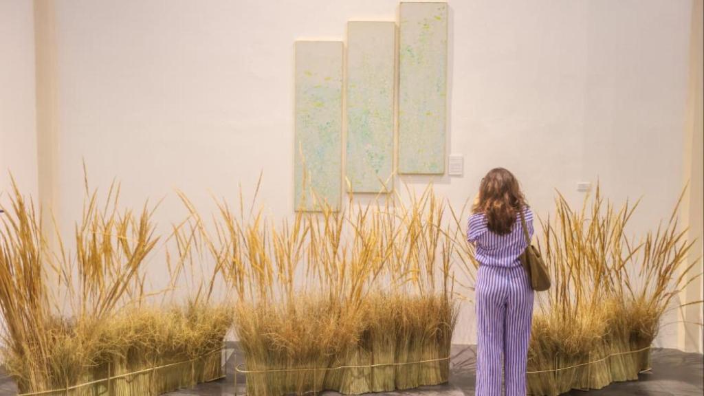 Una persona observa parte de esta exposición en Málaga.