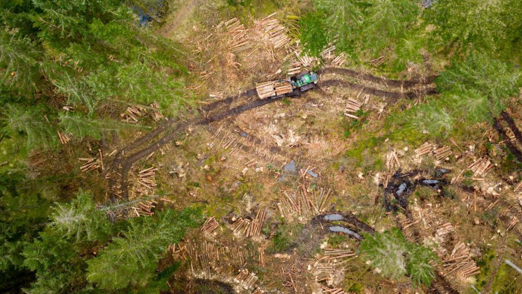 Tala de árboles desde un dron en Escocia.