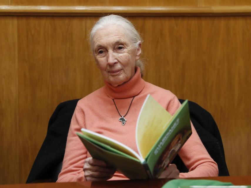 Jane Goodall, en 2018.