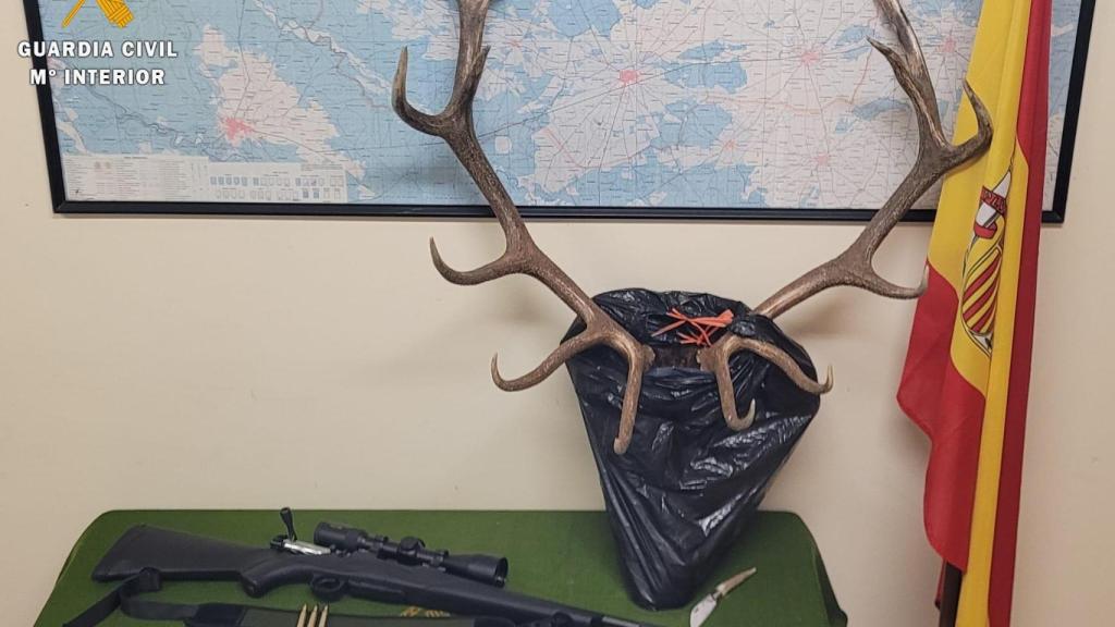 La Guardia Civil investiga a un joven como presunto autor de un delito de caza ilegal en Zarzuela del Pinar