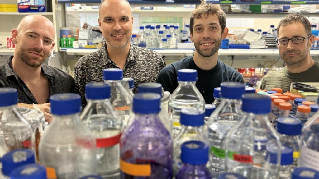 Ernesto López, Felipe Cortés, Daniel Giménez e Israel Salguero.