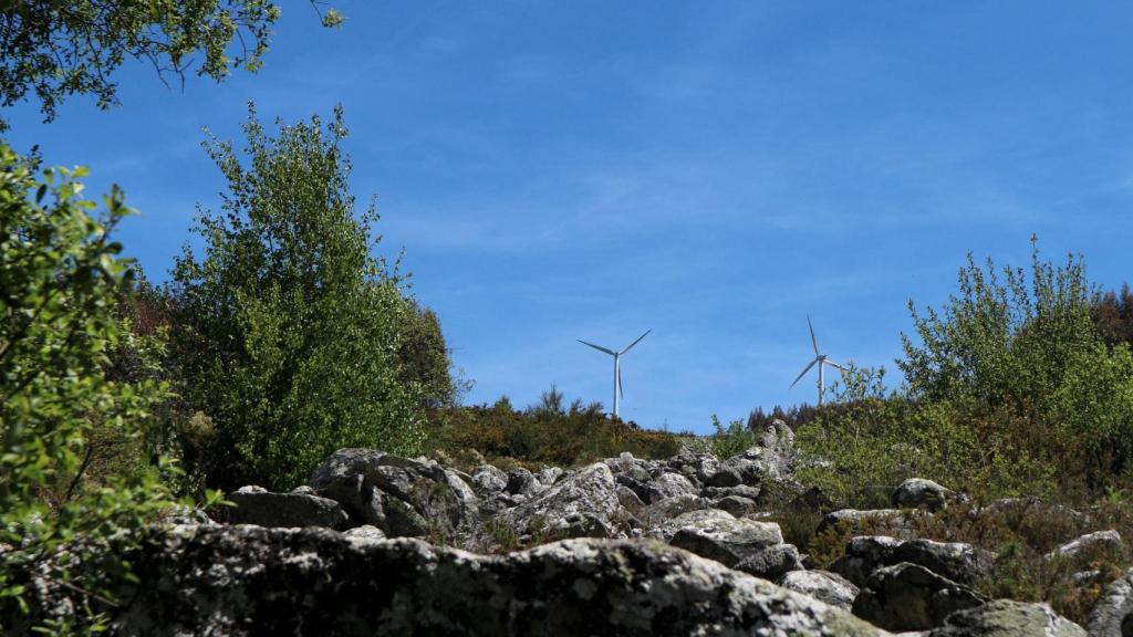 Pedregal de Irimia, nacimiento del río Miño. https://es.wikipedia.org
