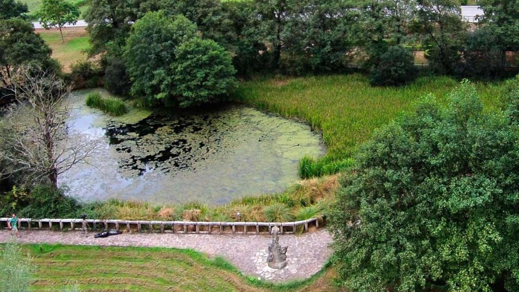 Lagoa de Fonmiñá. https://www.mancomunidadeterracha.org