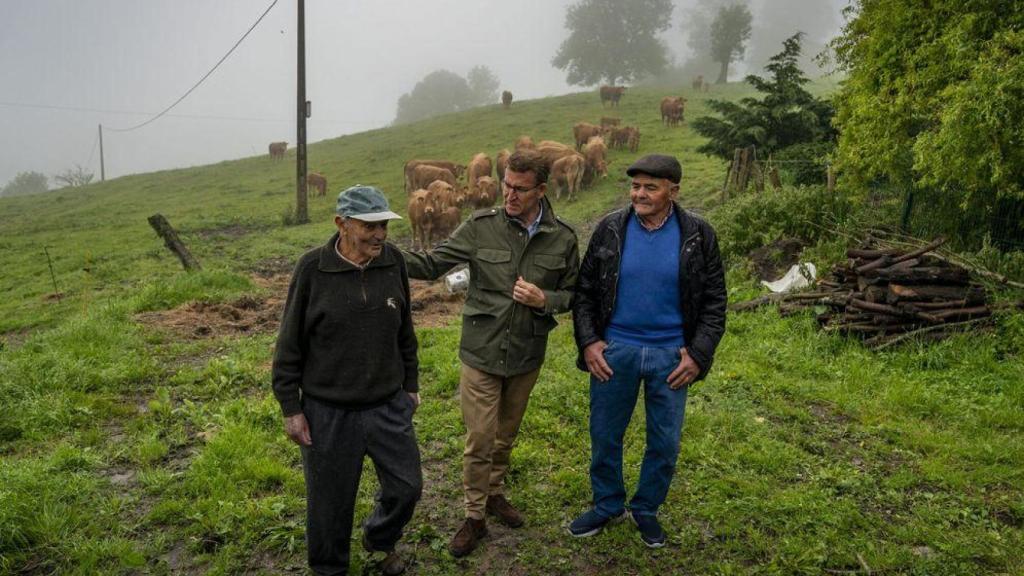 El líder del PP, Alberto Núñez Feijòo, durante una visita a una explotación ganadera en 2024.
