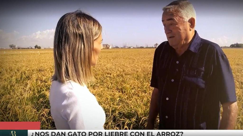 Ramón Xirivella, arrocero, en 'El Programa de Ana Rosa'
