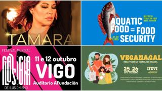 Todos los conciertos y eventos de los que podrás disfrutar este octubre 2025 en Vigo