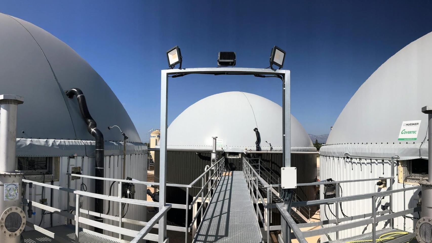 Planta en el municipio de La Galera (Tarragona)