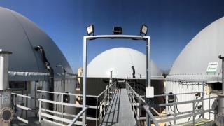 Planta en el municipio de La Galera (Tarragona)