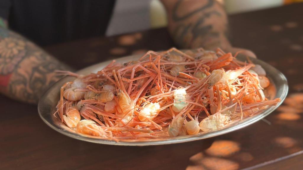 Una ración generosa de mosquitos de mar.