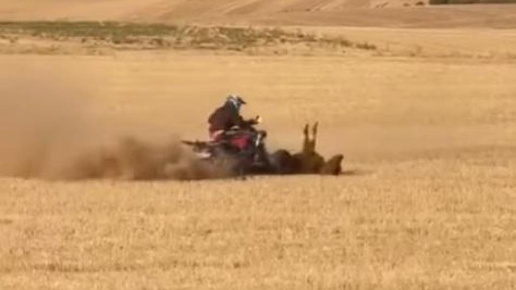 Imagen del momento del atropello a una vaquilla en Bolaños del Campo (Valladolid).