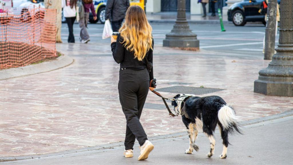 Una mujer en compañía de su perro