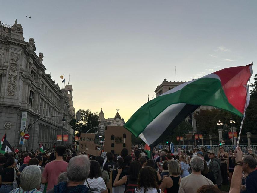 Imagen de la manifestación por Palestina en Madrid.