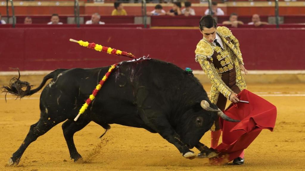 Novillada 4 de octubre 2025