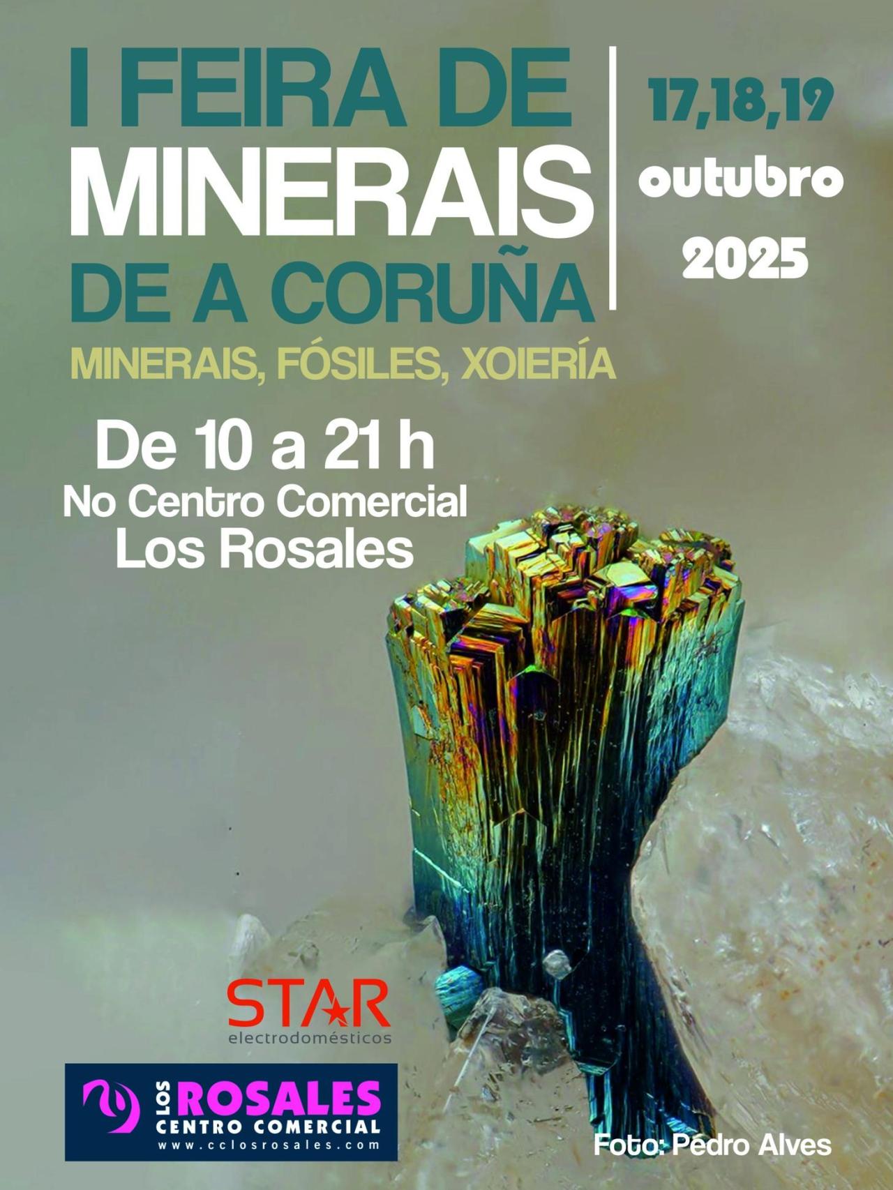 Feria de minerales de A Coruña.