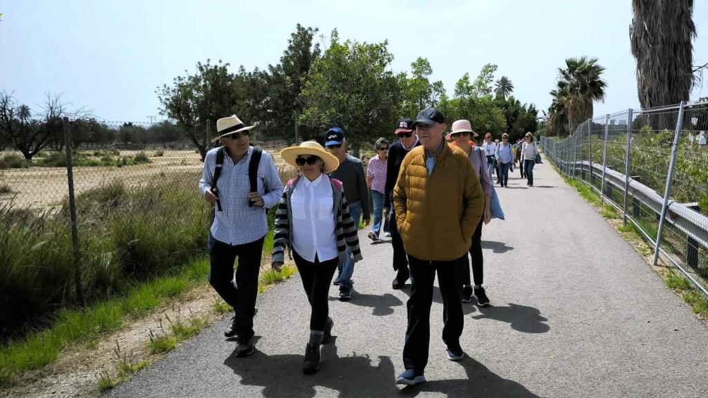 Los peripatéticos por Alicante.
