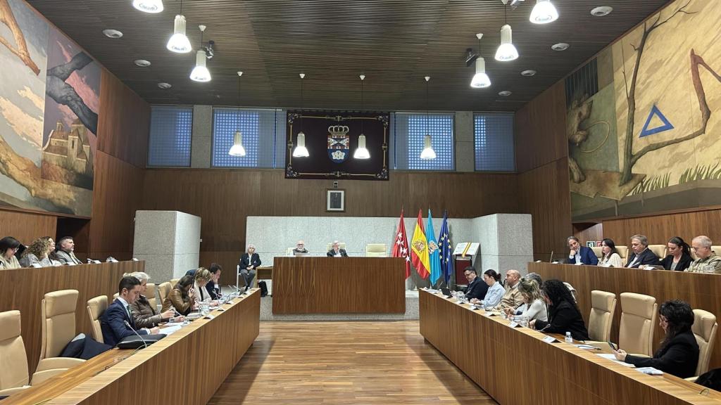 Pleno en el Ayuntamiento de Leganés.