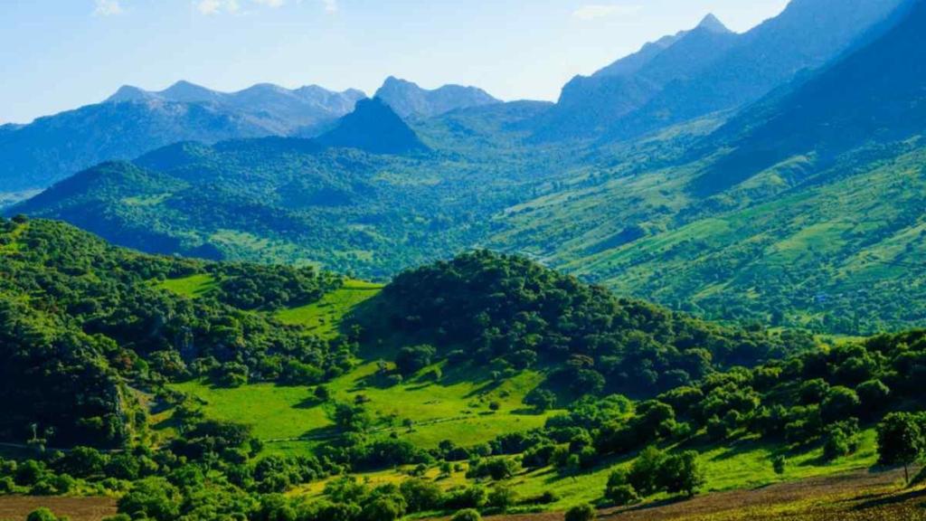 Imagen de archivo del Parque Natural Sierra de Grazalema.