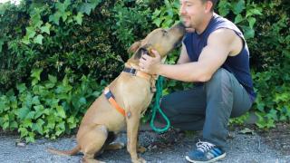 El técnico madrileño que cambió su vida tras ver 140 perros abandonados: No sé si los ayudé yo o ellos me salvaron