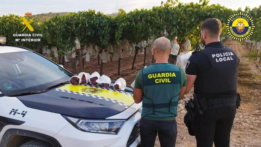 Los agentes junto a la uva sustraída.