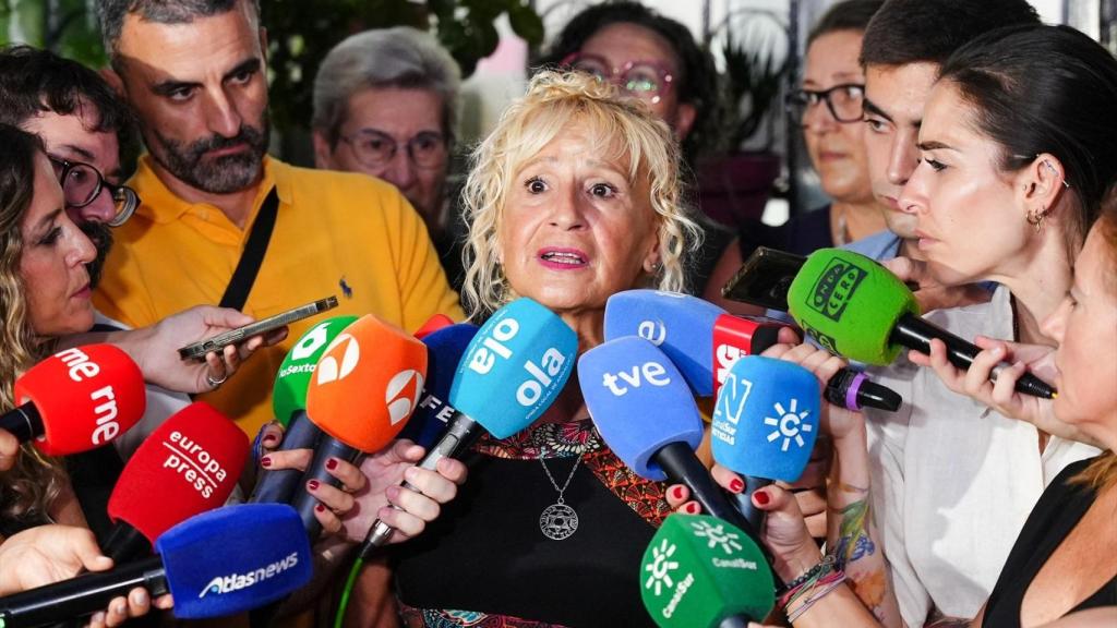 La presidenta de Amama Sevilla, este martes atiende a los medios de comunicación.