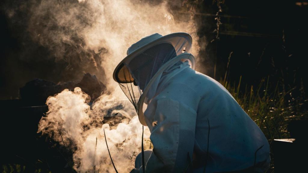 Martí Mascaró trabajando en una de sus colmenas.