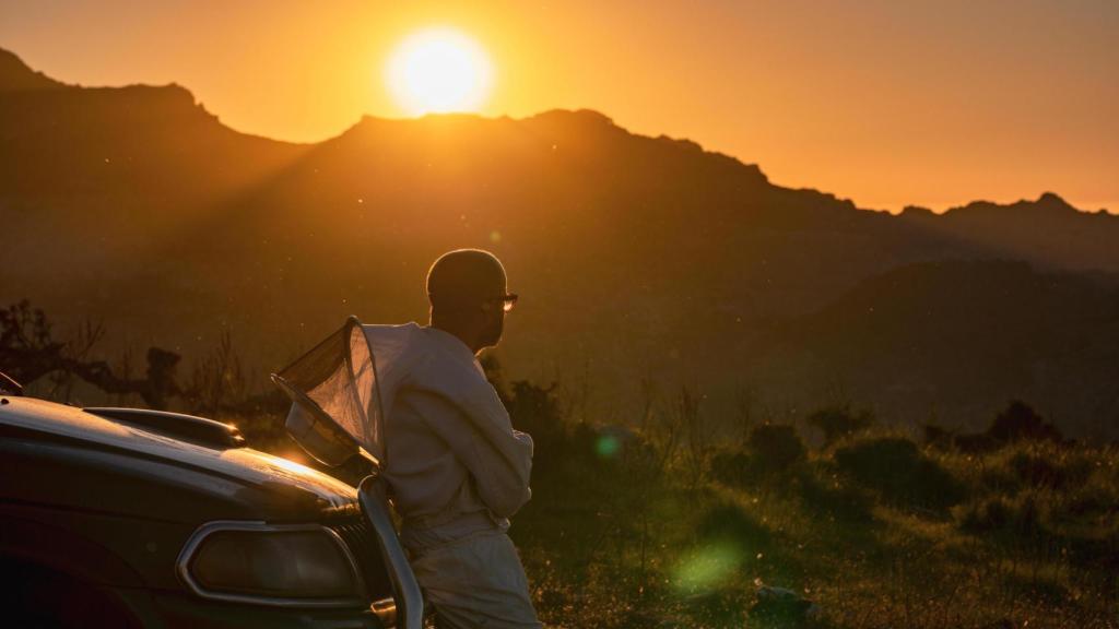 Martí Mascaró, uno de los seis últimos apicultores de Mallorca.