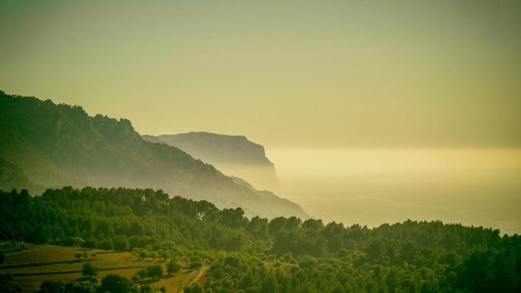 Uno de los paisajes que captura en tarros de cristal con miel.