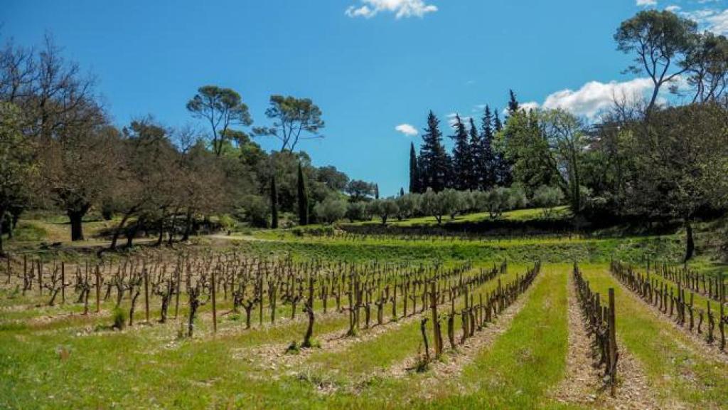 La finca de George Clooney.