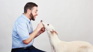 Eloi Sarrió, abogado animalista de Aboganimal.