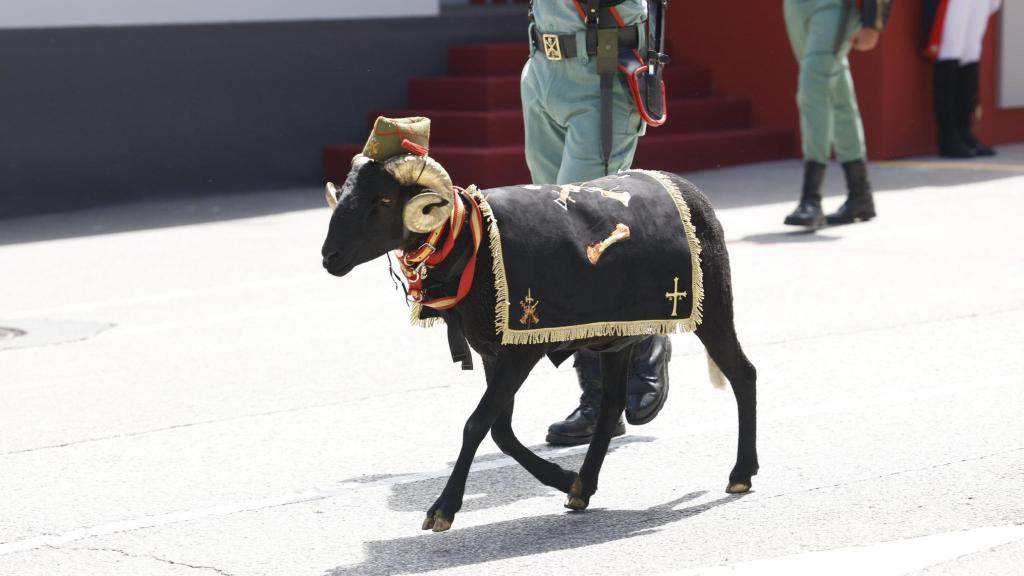 Baraka durante su participación en del Día de las Fuerzas Armadas 2024, en Oviedo (Asturias)