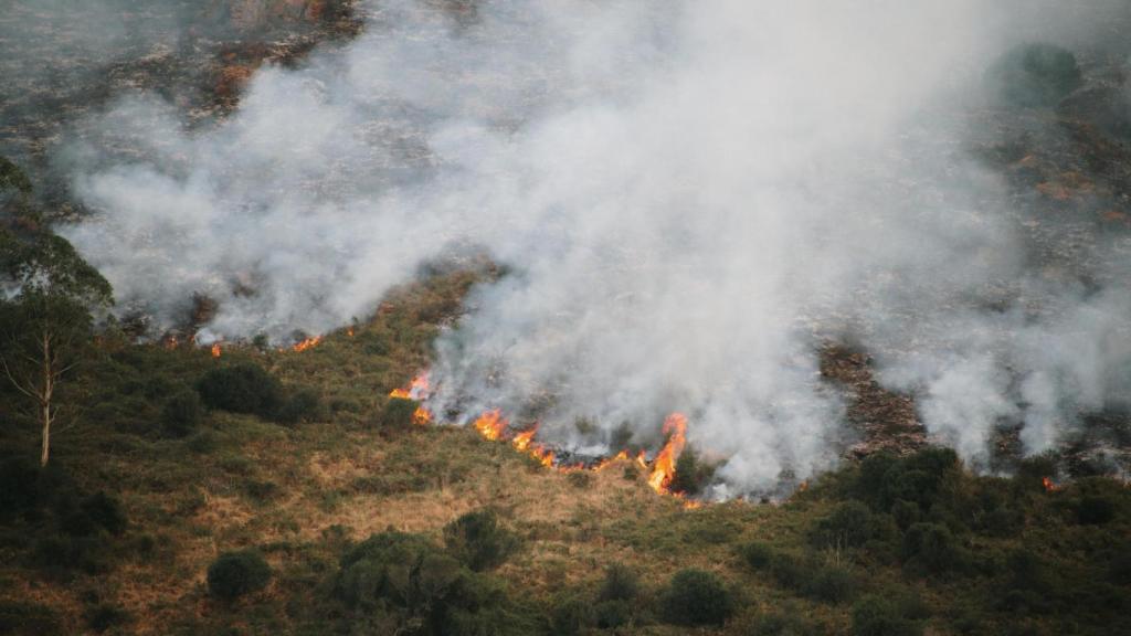 La luz solar incrementa la contaminación causada por el humo de los incendios forestales.