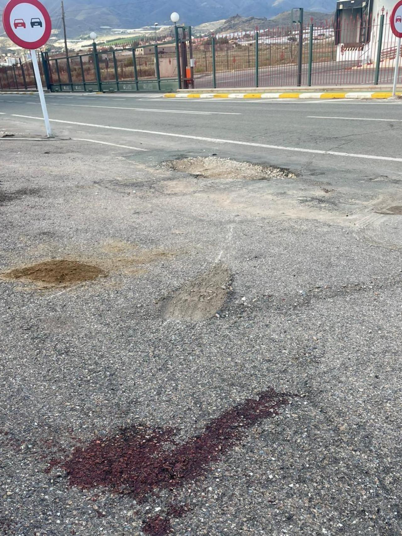 Un charco de sangre, este miércoles, junto a la carretera que conecta Ramonete con Puntas de Calnegre.