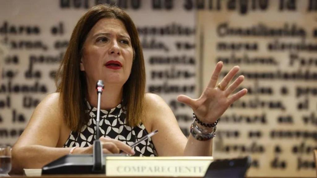 Leire Díez, en la 'comisión Koldo', en el Senado.
