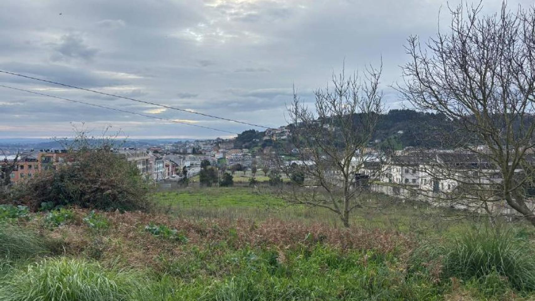 Parcelas de Monte Mero, con la Cidade das Tic a la derecha detrás de los árboles.