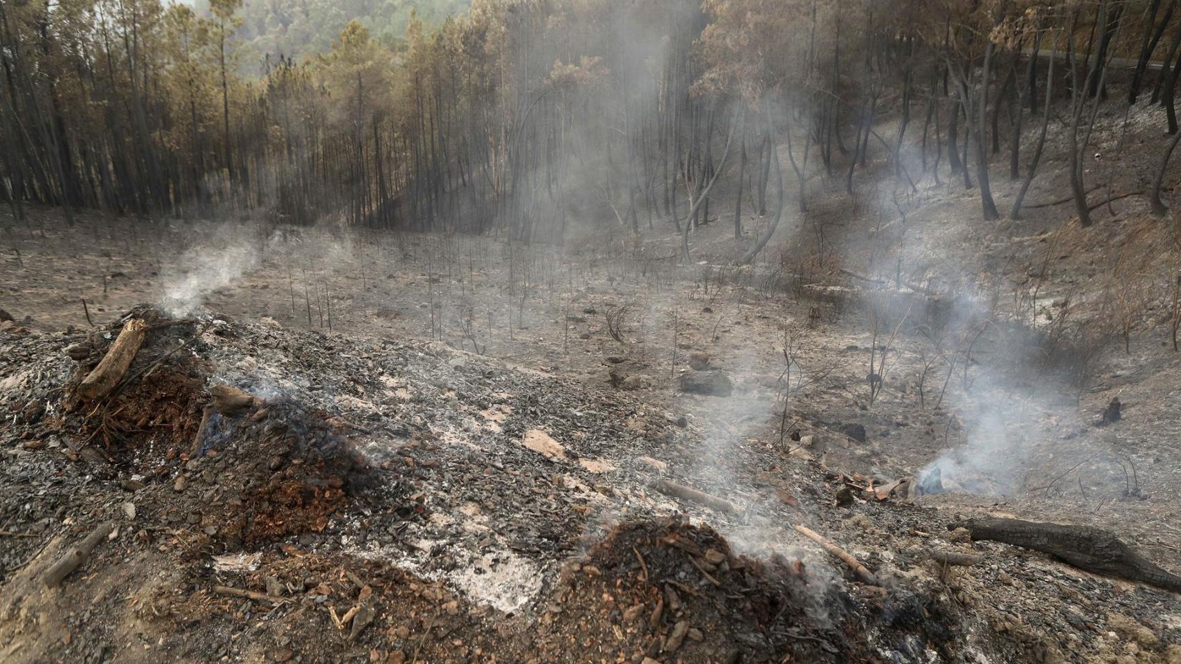 Zonas calcinadas por el incendio de Pontón en septiembre