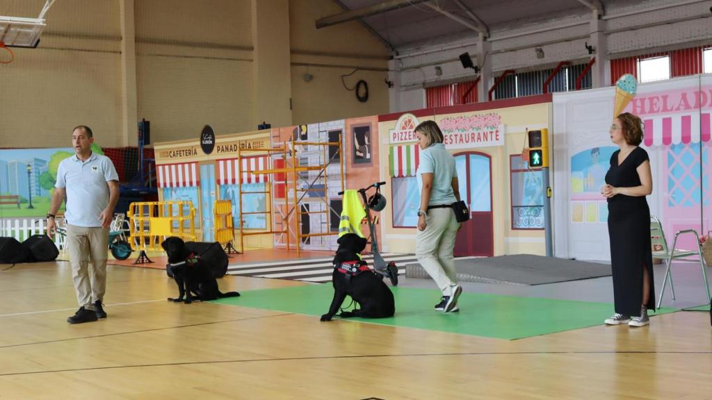 Exhibición en Azuqueca de Henares. Foto: Ayuntamiento.