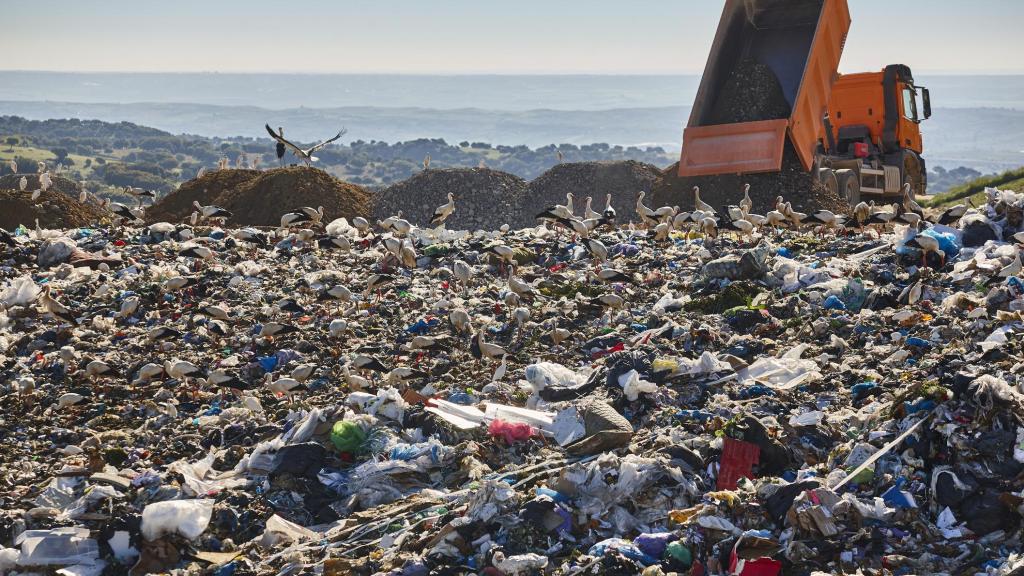 Un camión descarga tierra en un vertedero.